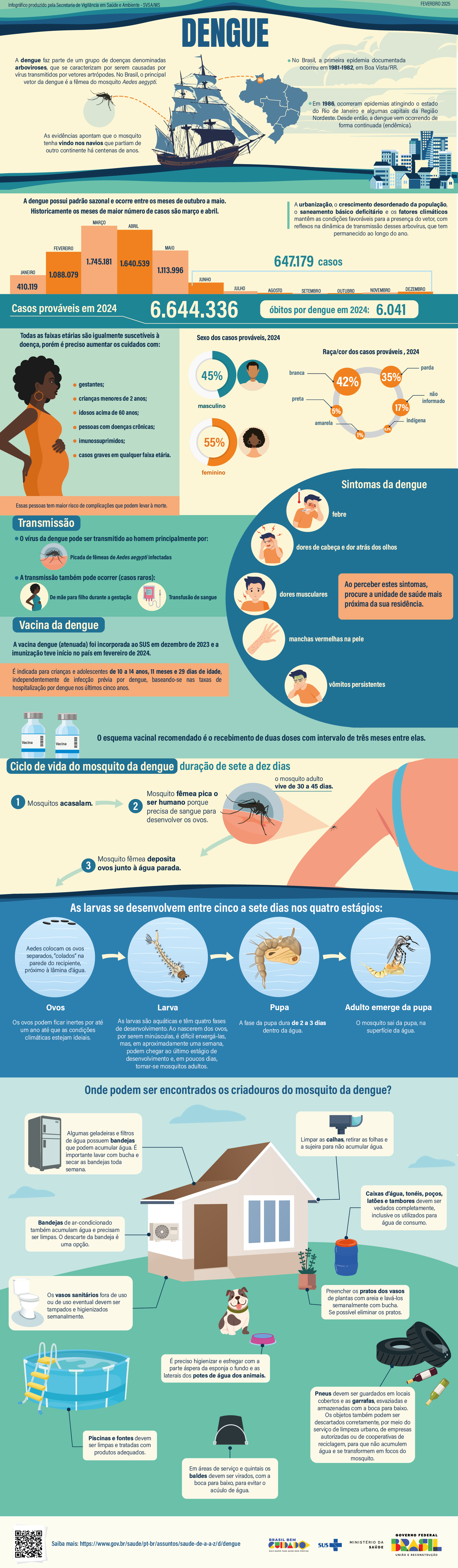 Infográfico Panorama da Dengue no Brasil - Ministério da Saúde